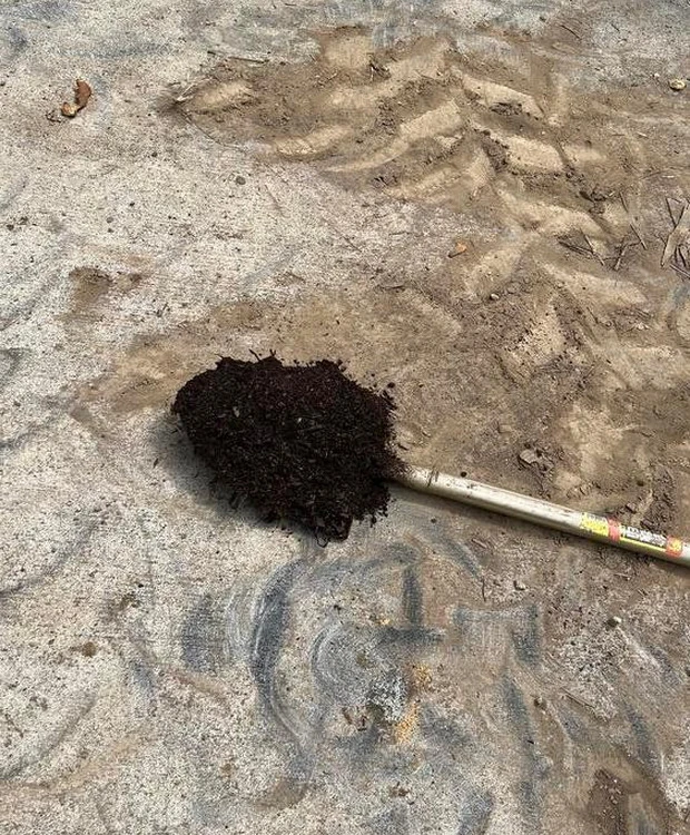 【アルソア本社見学】自然との調和と、外見だけではない“内からの美”について考える_6_3