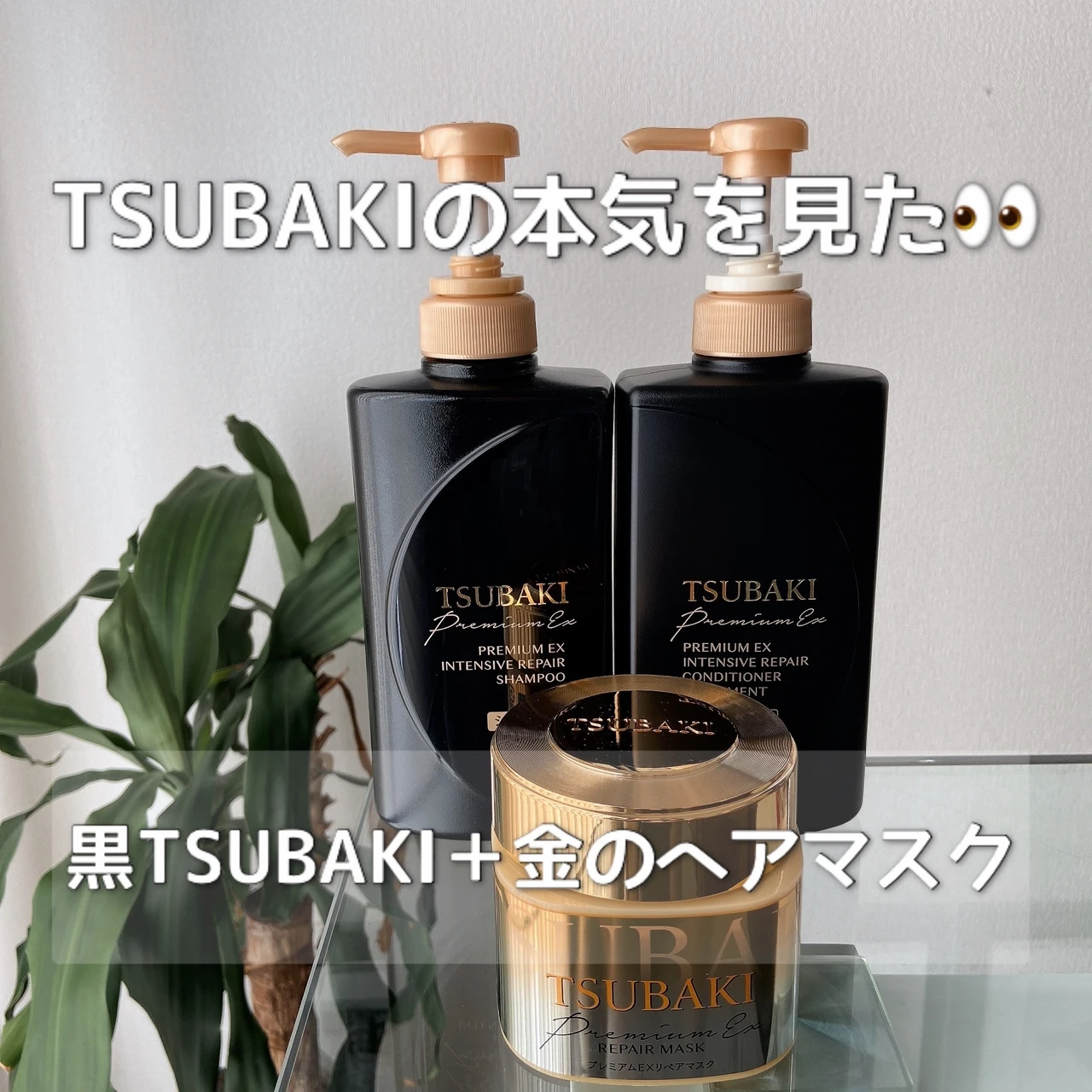 【TSUBAKIの本気を見た👀】断面形状に着目！イオンの力で内側から補修🩹TSUBAKI「プレミアムEX インテンシブリペア」シリーズ🖤_1