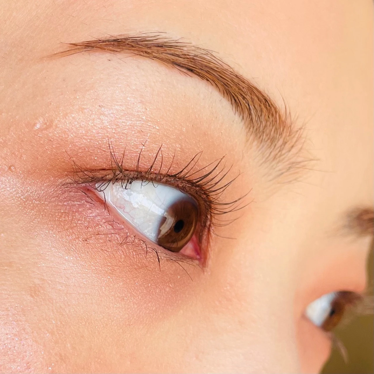 10月9日発売！大人気D-UP(ディーアップ)のマスカラの新色、マロングレージュをご紹介します。※スウォッチ有り_5_2