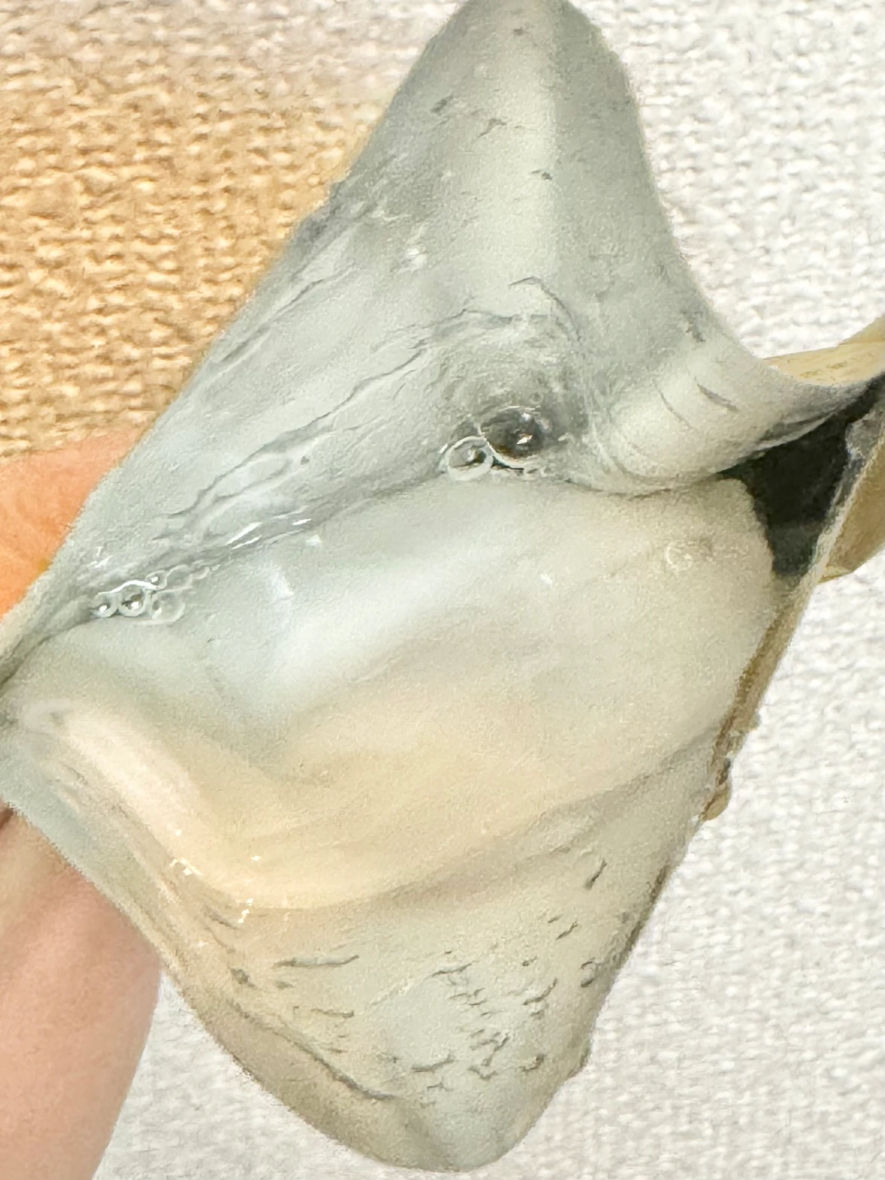 バイオエイジン　フェイスマスク　フェイスパック　アンチエイジング　エイジングケア　シートマスク