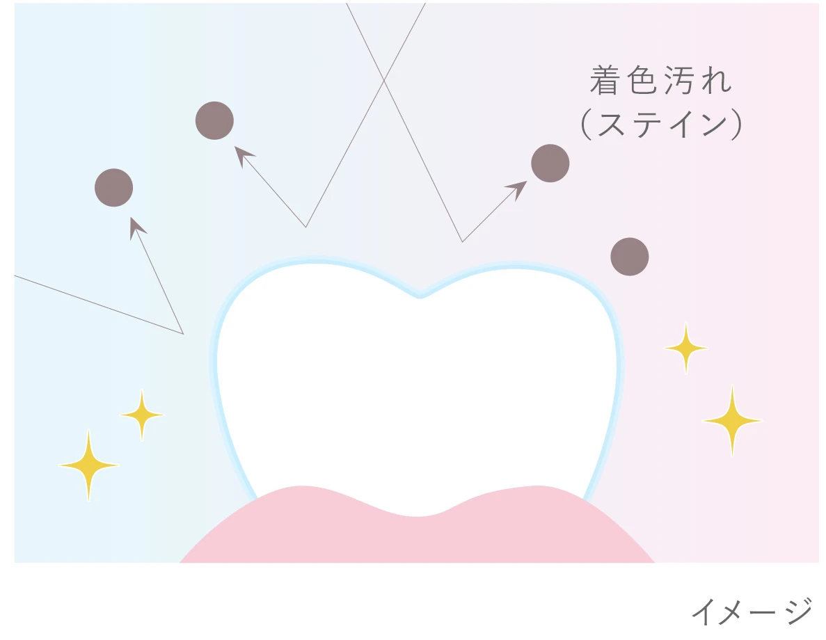 Lighteeハミガキ PREMIUM　美白ハミガキ　メカニズム　ステインプロテクト処方