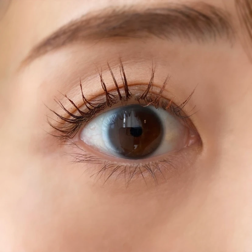 ＼保存版／【パクミニョン様出演】3650新作発表会の豪華イベントの様子と11月1日発売のマスカラ全部見せます‼︎_21_1