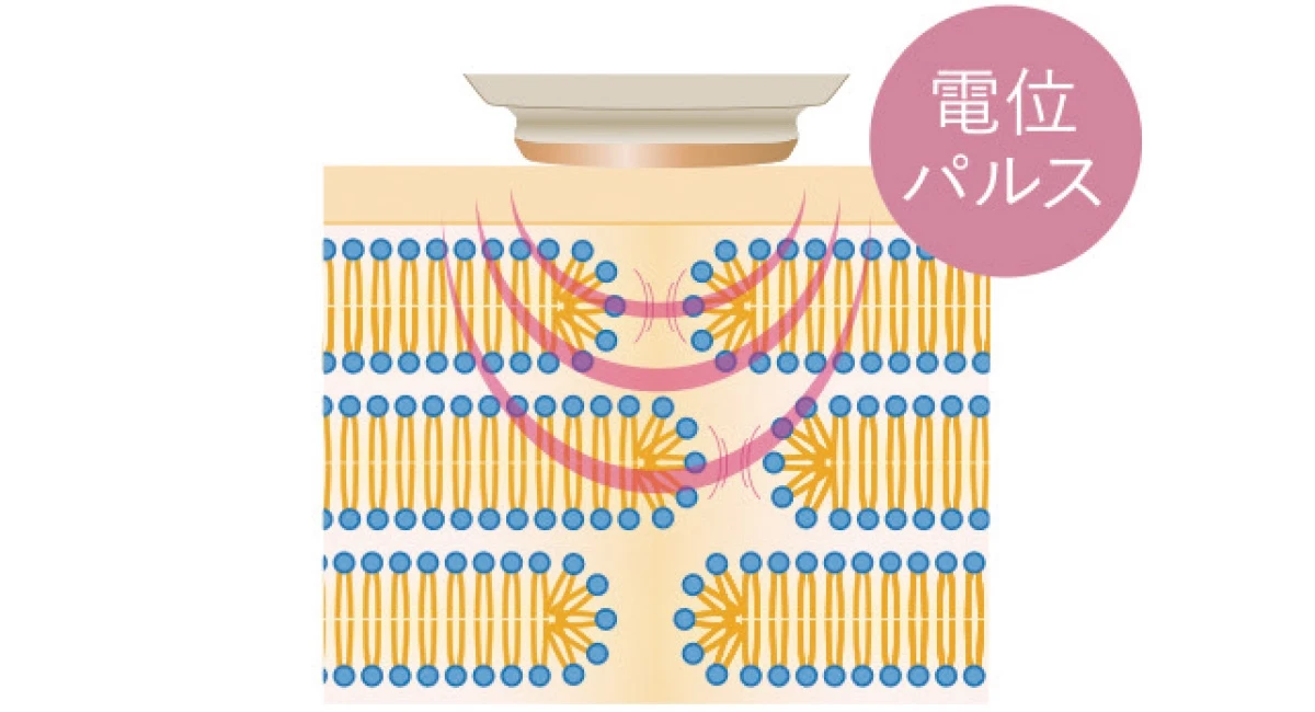 「高分子浸透※2技術」がスゴい!
