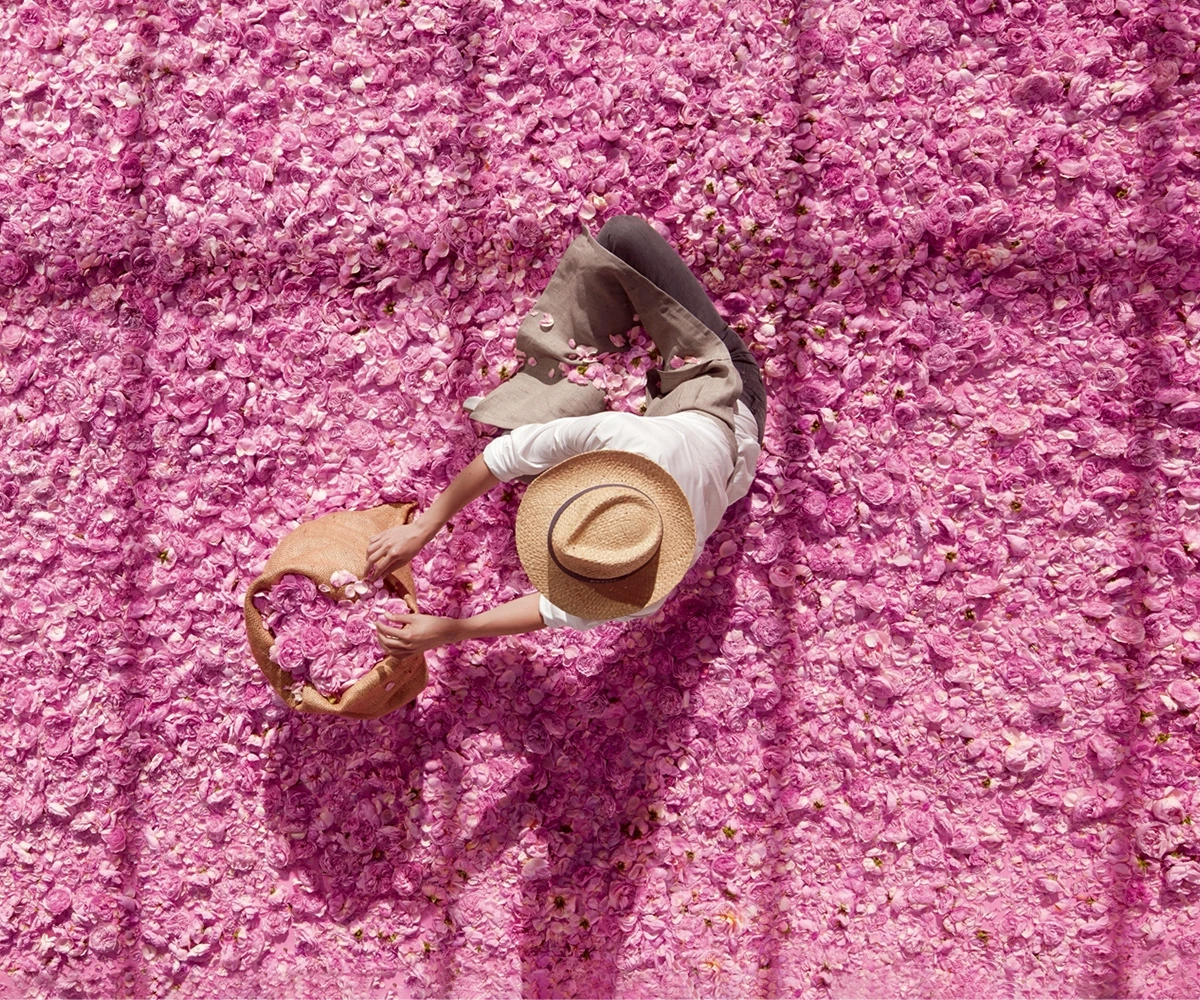 新「ミス ディオール ローズ エッセンス」それはヴィンテージワインのように、スペシャルで希少な香り_5