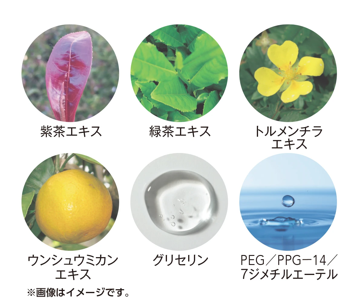 新作UVの注目株。UV膜が自動で修復する!? 新 金のアネッサ こそ、驚きの進化を遂げた大本命UV！_7