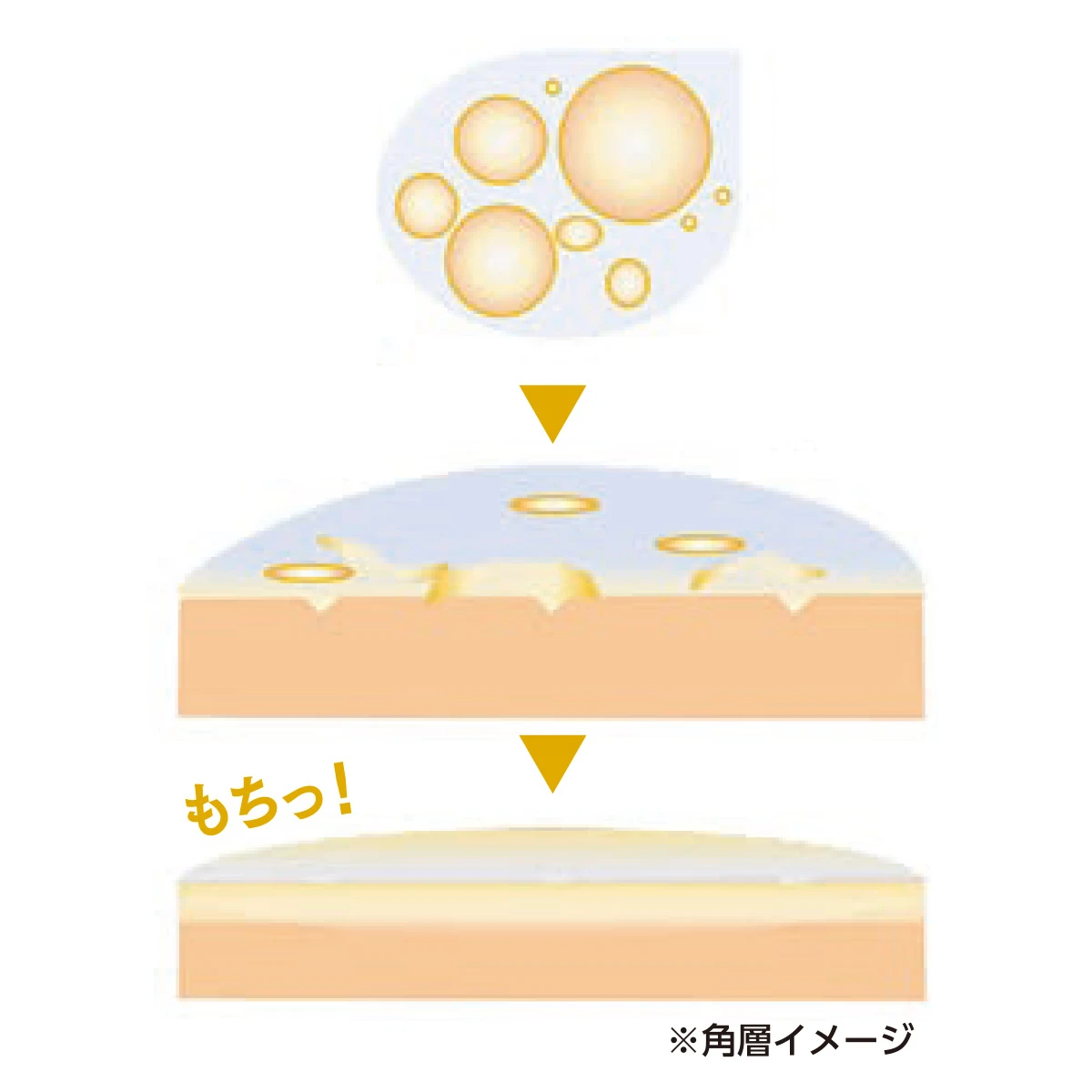 美肌に欠かせないキー成分「浸透美容アミノ酸※1」を配合して進化。新アクアレーベルのオールインワンで、毎日頑張る肌にご褒美エステ _10