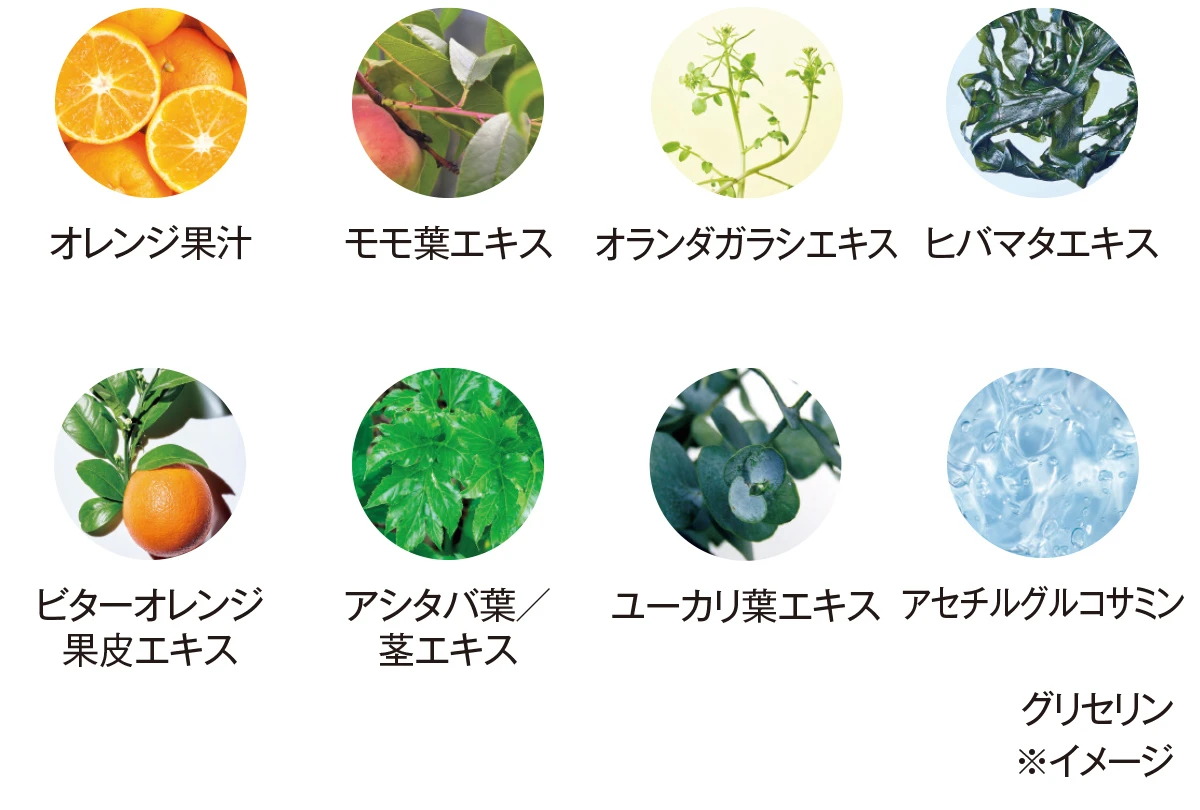 KANEBO ジェネレイティングエッセンシャルズ　厳選成分