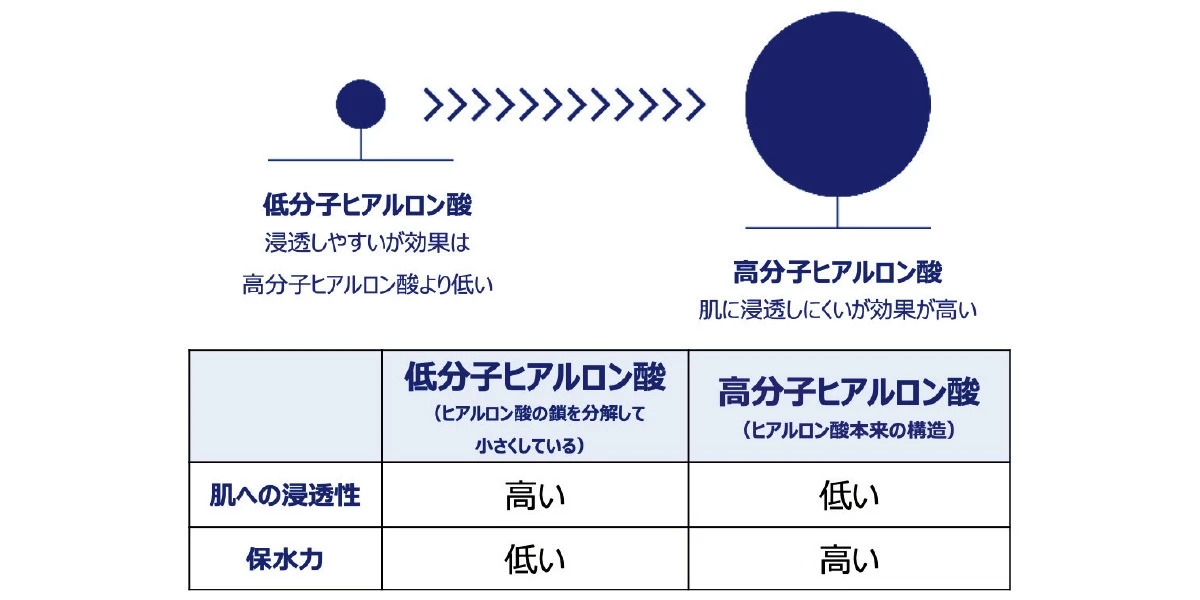 祝・ベスト·スキンケア大賞受賞！ヒアルロン酸研究で「ハリ肌革命」 SHISEIDO 先進美容液の魅力_5