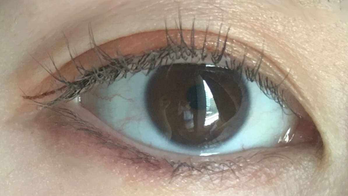 【10/9発売】ディーアップからナチュラルに仕上がる、秋にぴったりなマスカラが登場_5_2