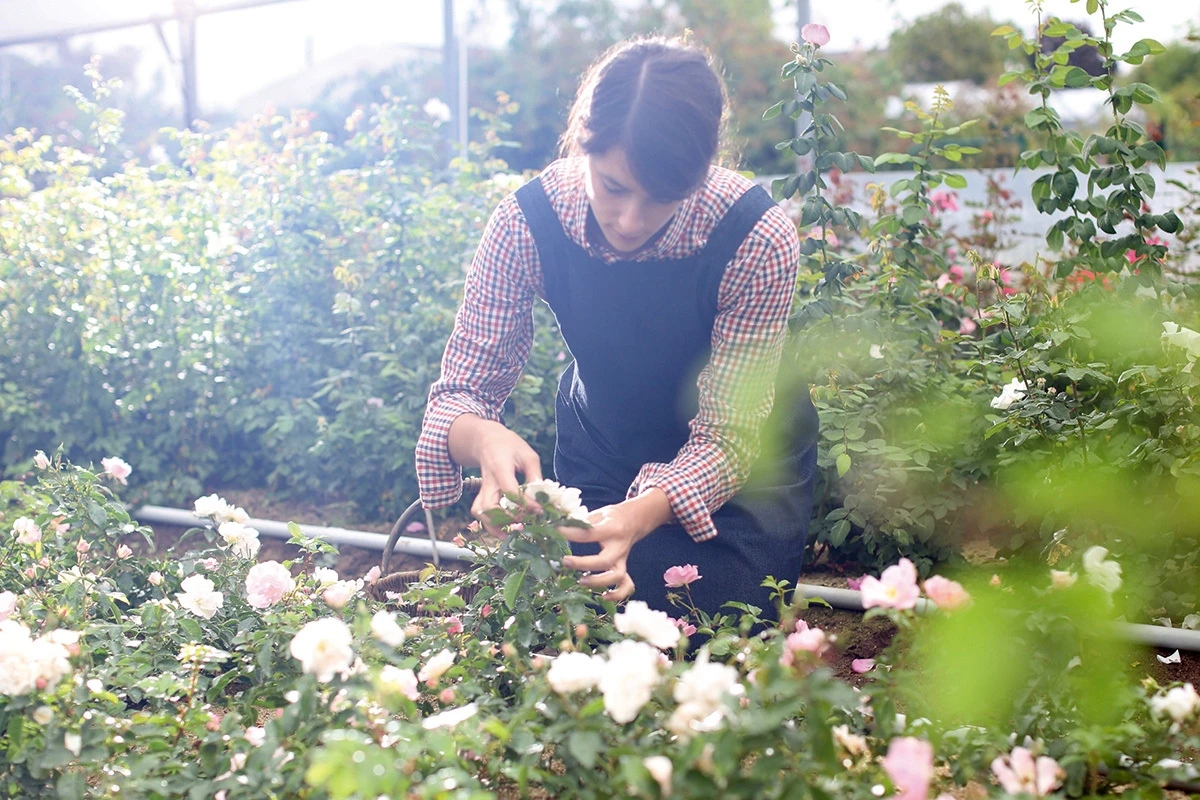 【安倍佐和子×松本千登世 ダイアローグ】ディオール プレステージ“私たちが魅了される、ほんとうの理由”_8