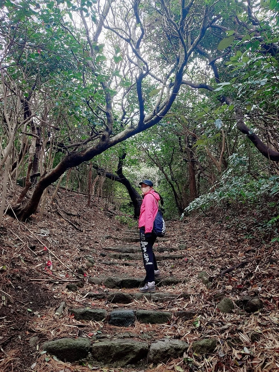 薄膜シートのヒタヒタシートマスクは10種類のビタミン配合!紫外線ケアに!_1