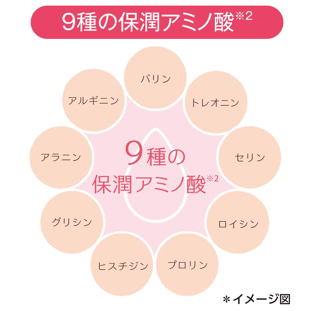 9種の保潤アミノ酸