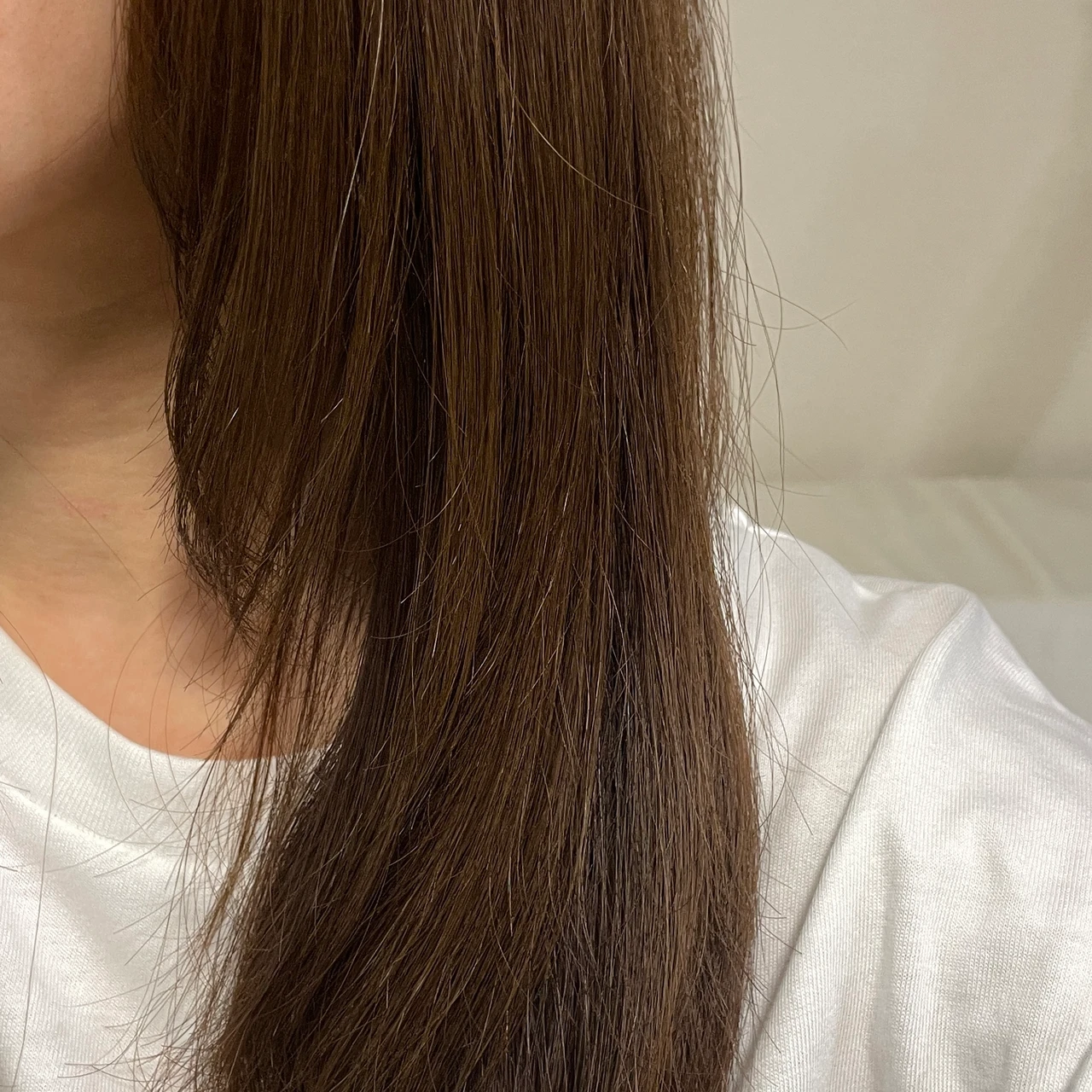 マイブースターズ　インシルク ブースター シャンプー　レビュー