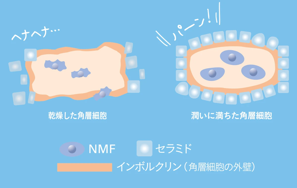 マミ様＆メディプラスの“角層防御ファイターズ”が夏の潤いダウン肌に挑む！　メディプラスで肌の体幹※1を鍛えて夏枯れしない肌へ_10