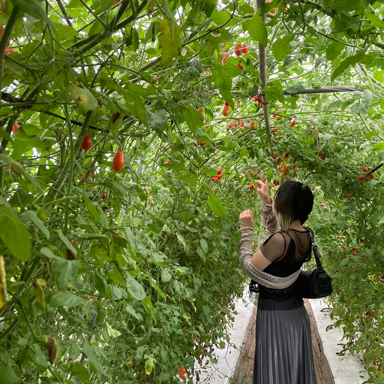 素肌美を目指せるARSOAの素敵なメソッドを山梨県・小淵沢で体感！_4_1