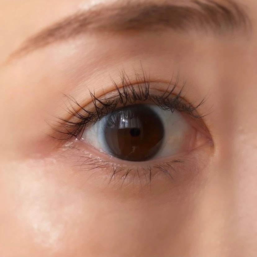 ＼保存版／【パクミニョン様出演】3650新作発表会の豪華イベントの様子と11月1日発売のマスカラ全部見せます‼︎_17_1