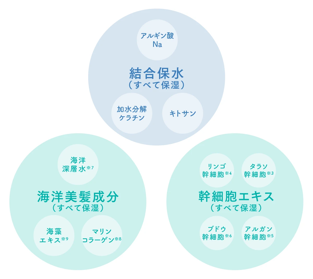 【スキンケア発想の"保水美容液"シャンプー】エイトザタラソ(8 THE THALASSO)で内側から潤うみずみずしい"ぷるん髪®︎"へ_2