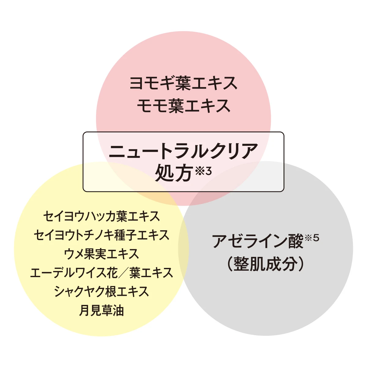 エピステーム episteme ニュートラルクリア処方