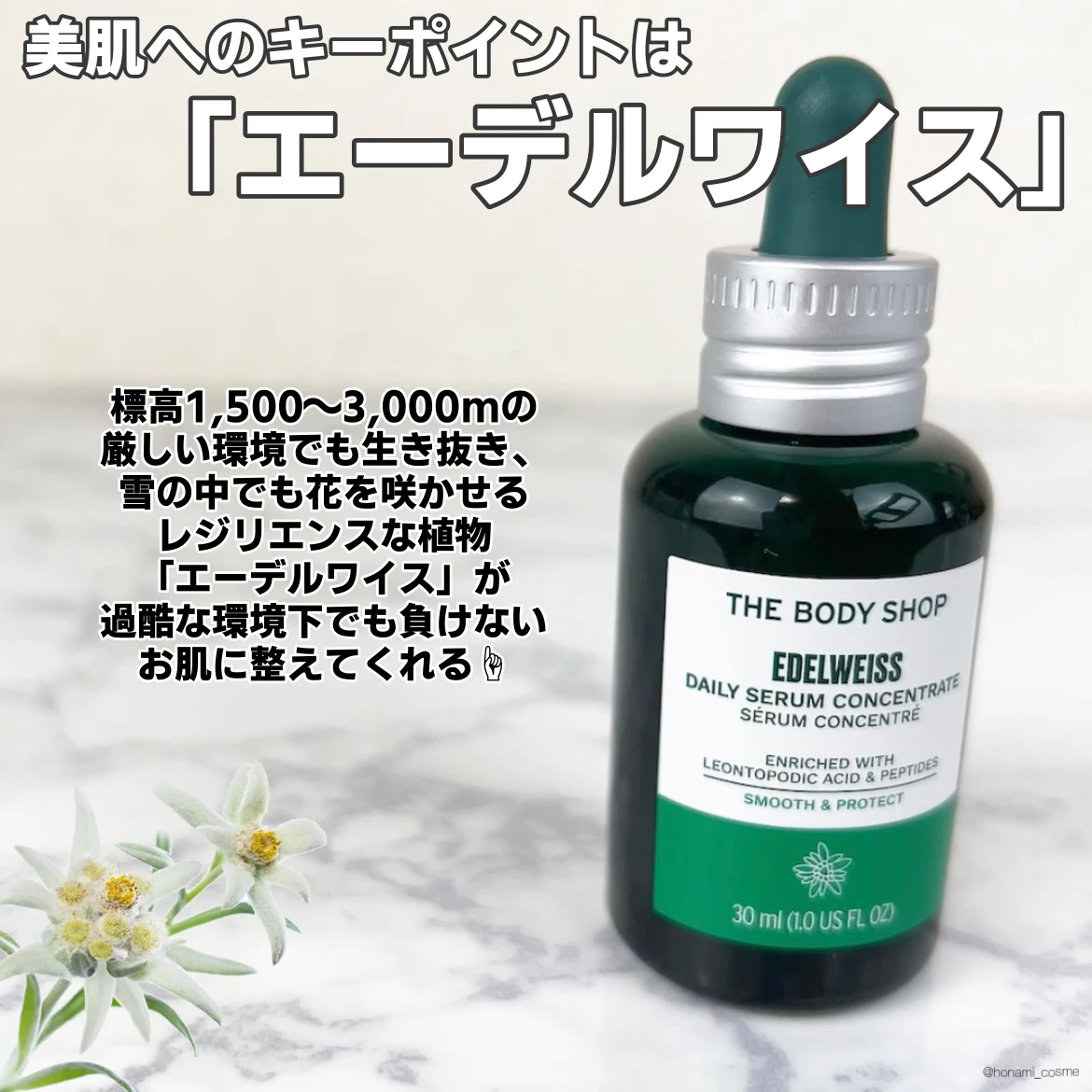 エーデルワイス