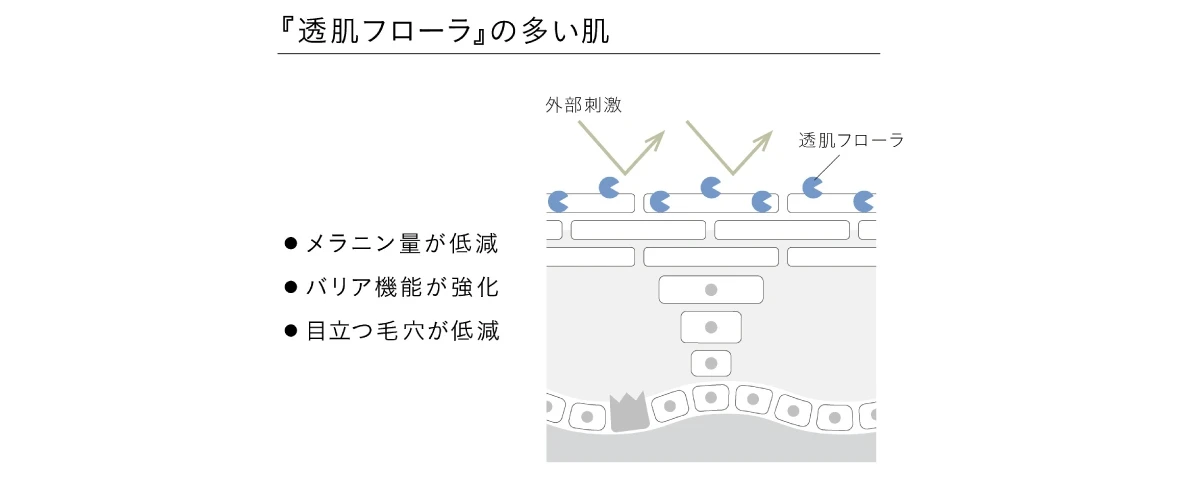 メラニン、乾燥、毛穴…大人の肌の暗さには複合的な原因が! ディセンシアが発見・“角層にごり(*1)”と透明感(*2)の真実_3