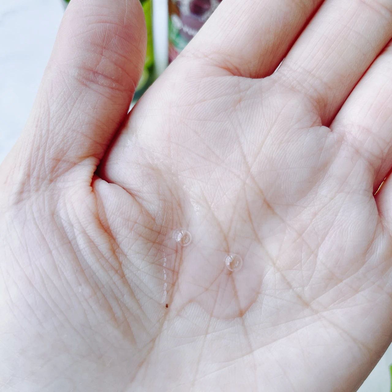 【イヴロシェ】フランス🇫🇷で大人気のブランド☆髪も地肌もうる艶♥︎︎本日発売MAQUIA12月号の付録にもなっています！_5_2