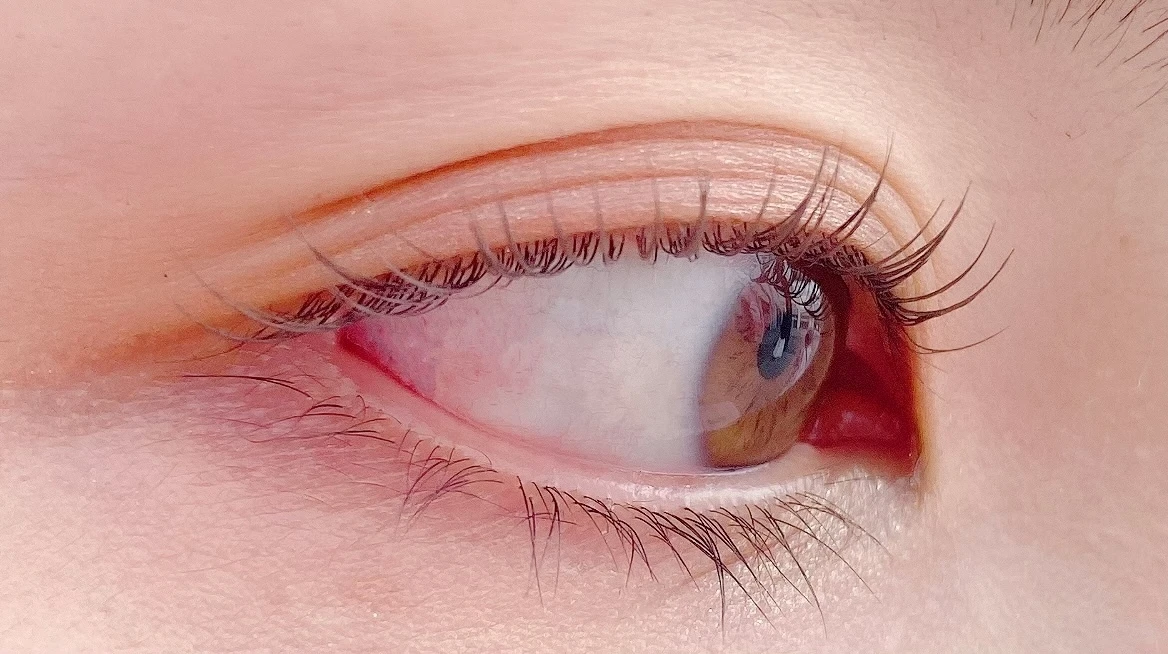 【これぞ抜け感】D-upマスカラ新色『マロングレージュ』超ナチュラルに盛れて、透明感あふれるマスカラに注目。_4_2