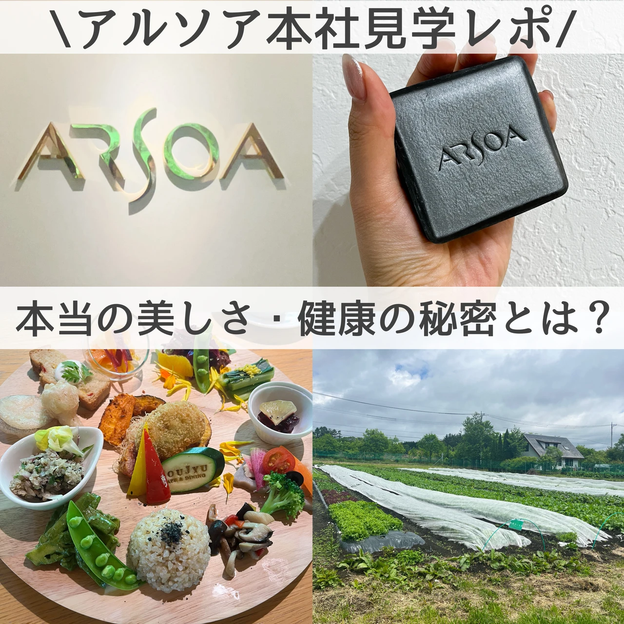 アルソア(ARSOA)の洗顔石鹸クイーンシルバーと本社見学の画像