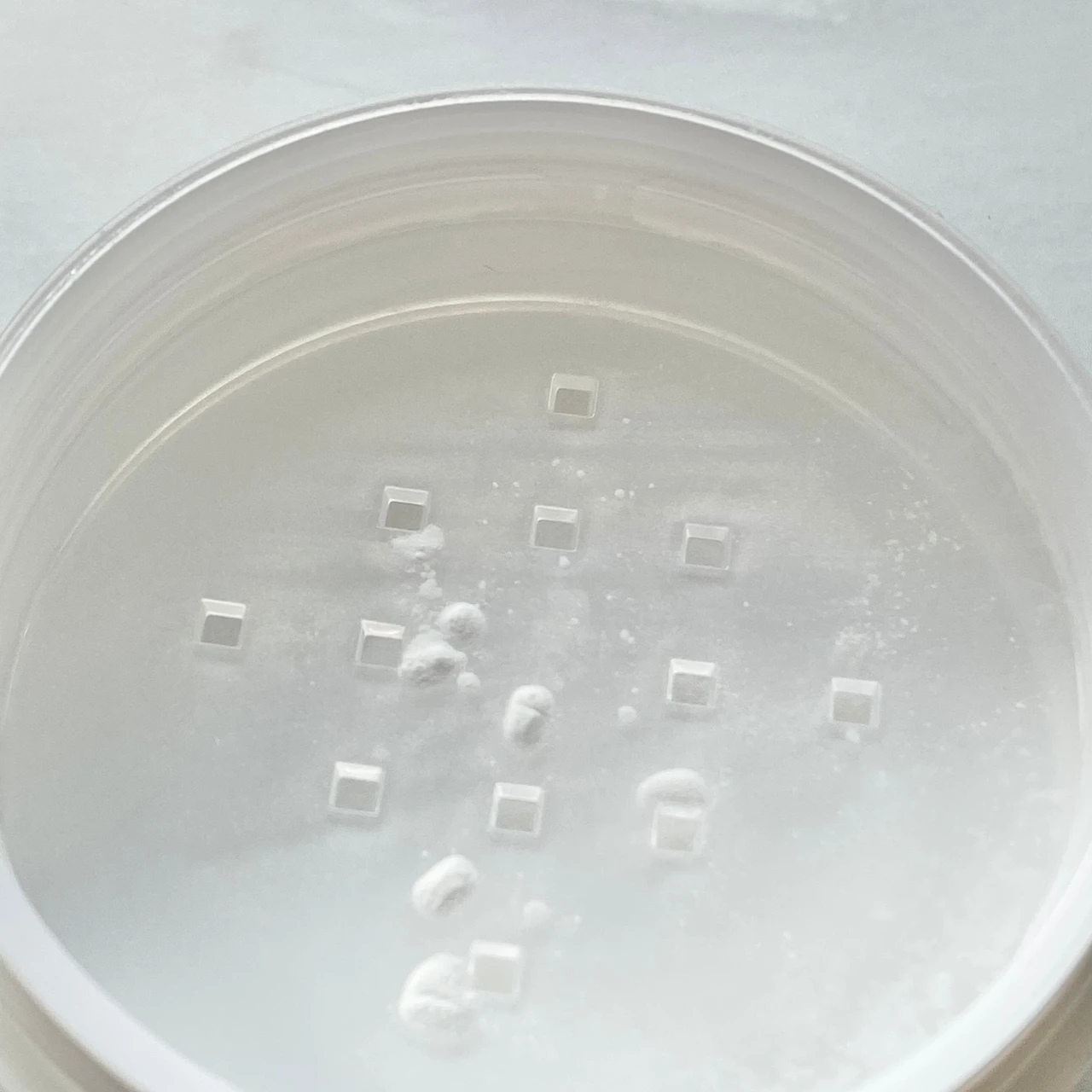 【マスクメイク必需品】750円でさらさら美肌が叶う韓国発VTのパウダー！化粧崩れを防ぐ裏技も公開。_2_1