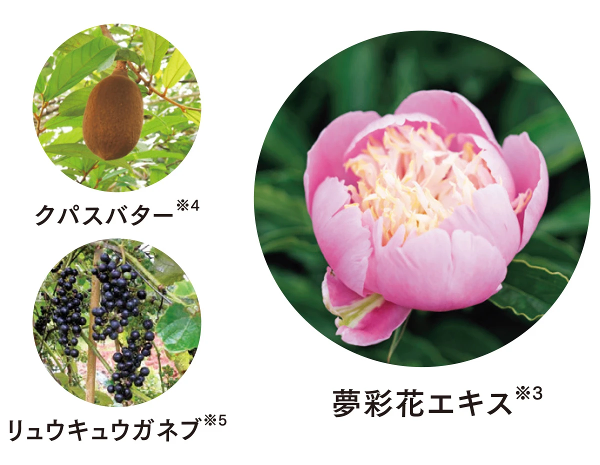 齋藤薫が読み解く、オーラとは、輝きとは――　「細胞から美しい」肌を考察_5