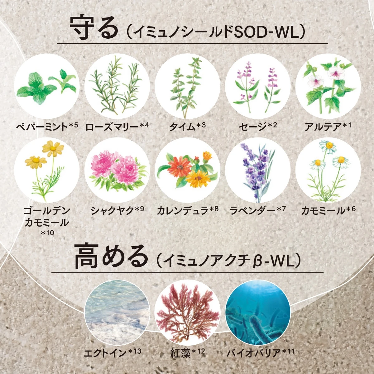 オーガニック×サイエンスが肌の未来を切り開く! イミュノから薬用クリーム*が新登場_2