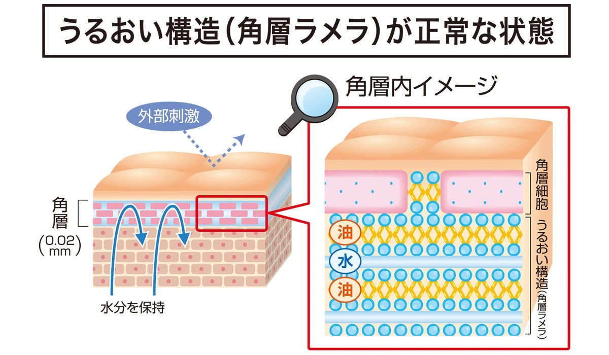 コーセー マルホ ファーマ