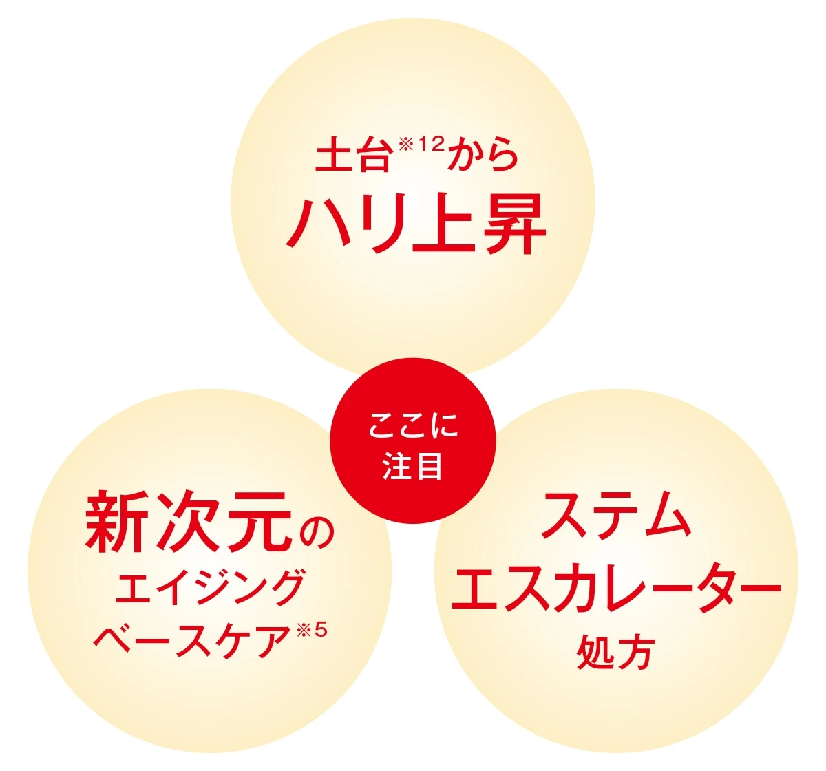 教えて石井美保さん
Obagiが私たちに必要なワケ_17