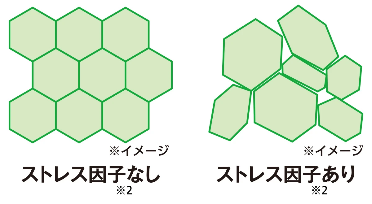 ストレス因子は肌に影響!