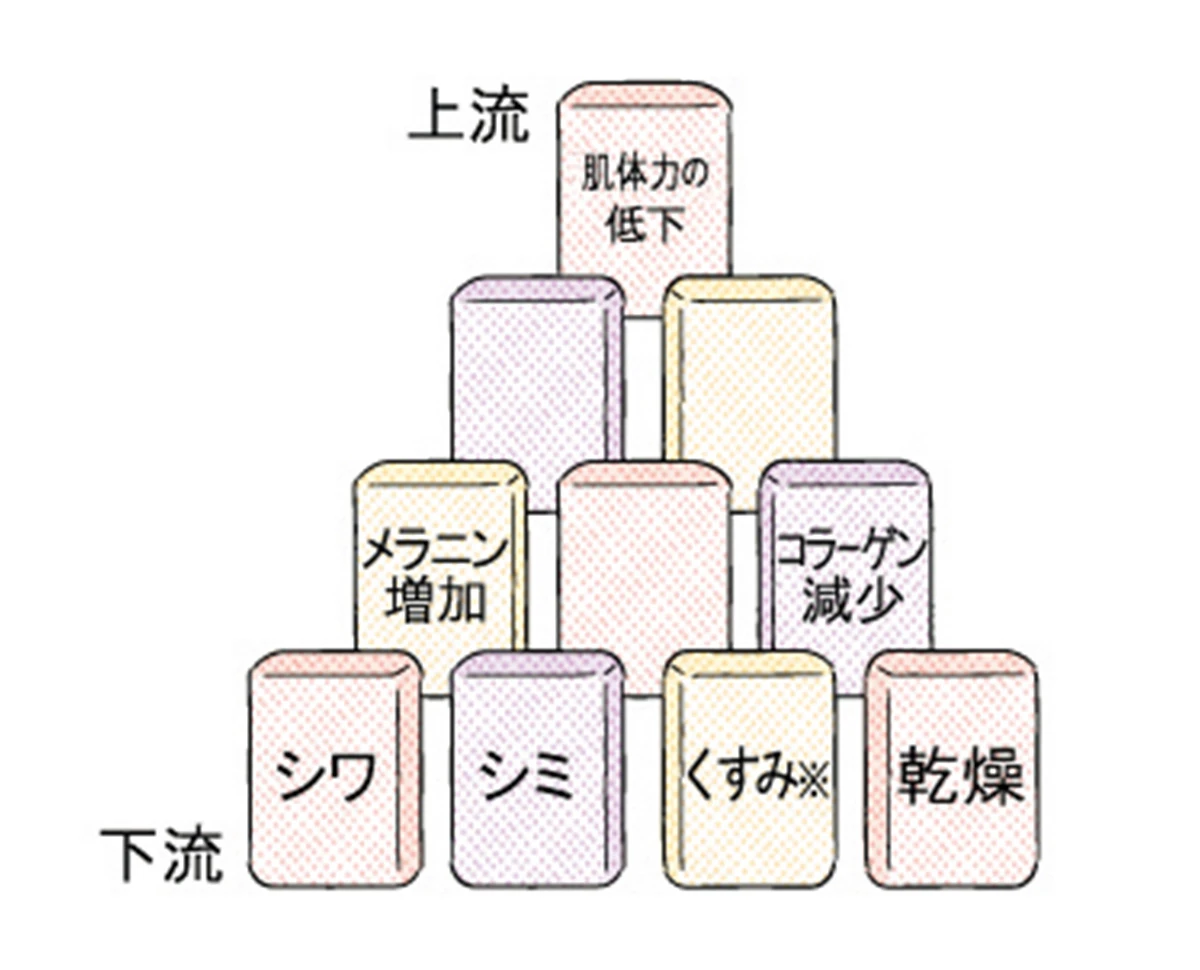 ドモホルンリンクル スキンケア 林由香里