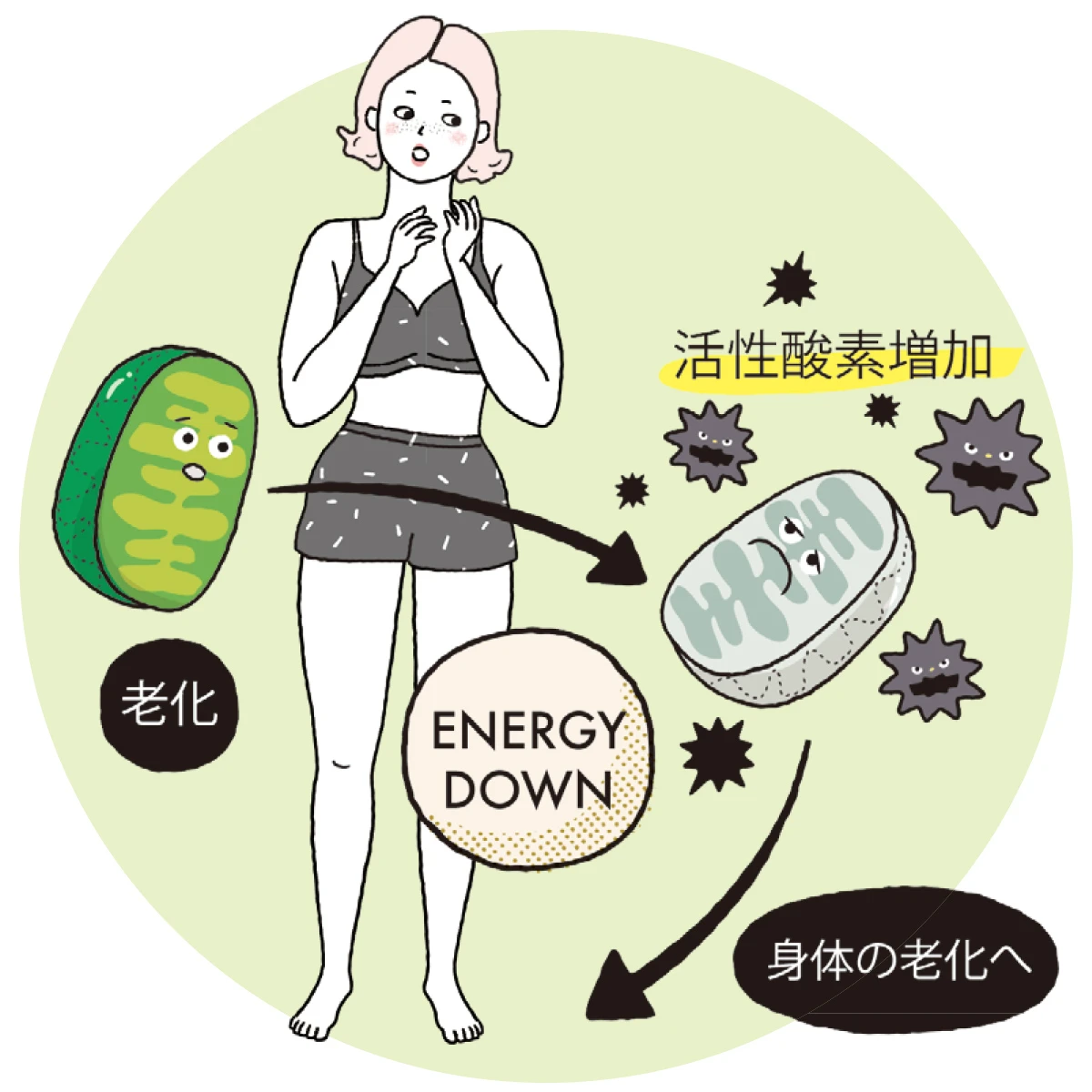 エイジングケア　活性酸素増加　身体の老化へ