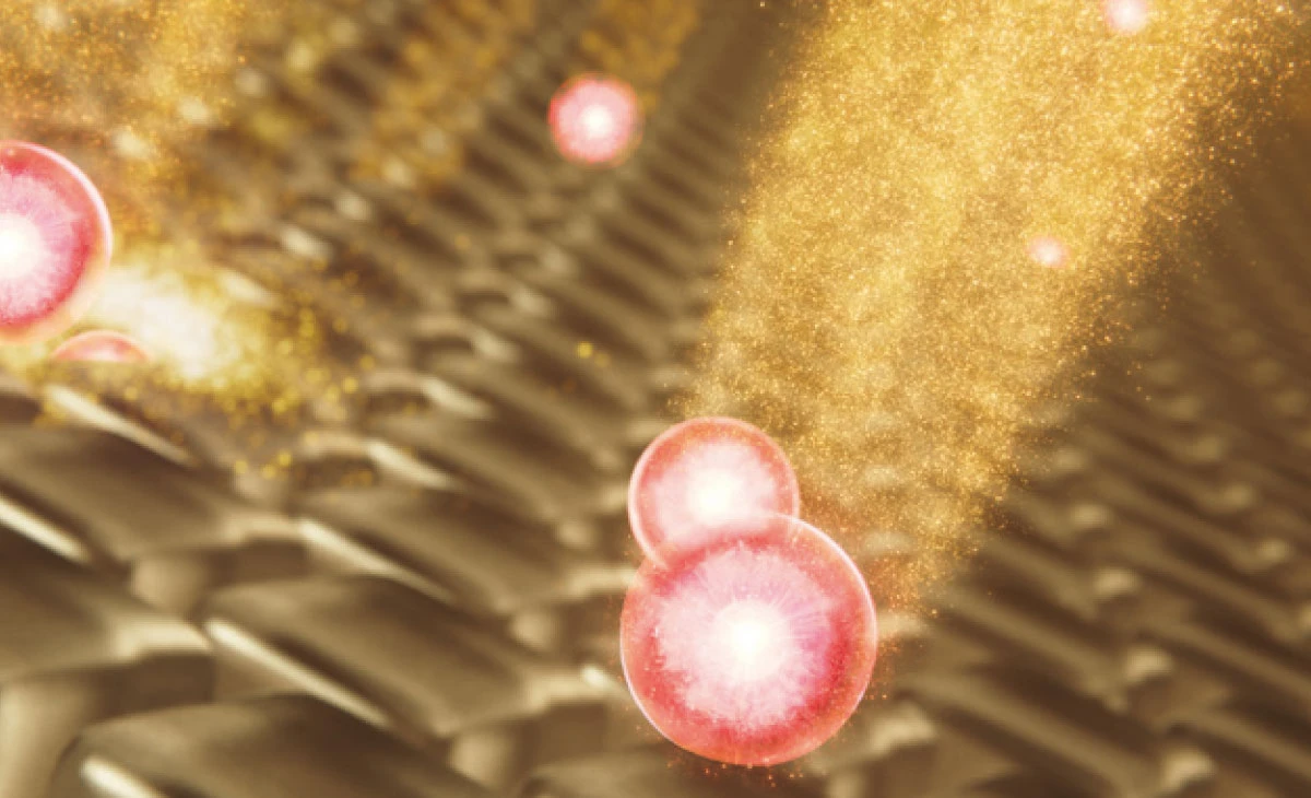 倍速エッセンステクノロジーを搭載