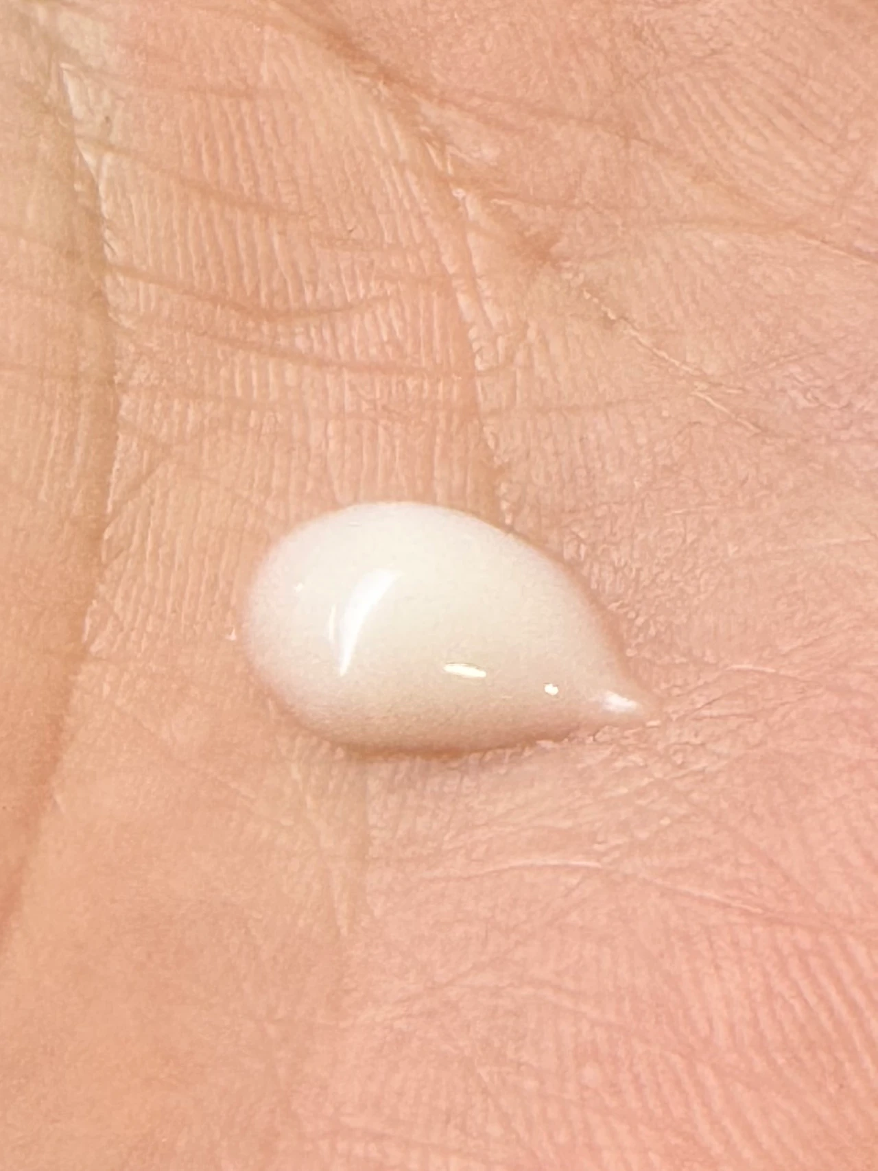 エテルナム 幹細胞 再生医療コスメ セラム 肌管理