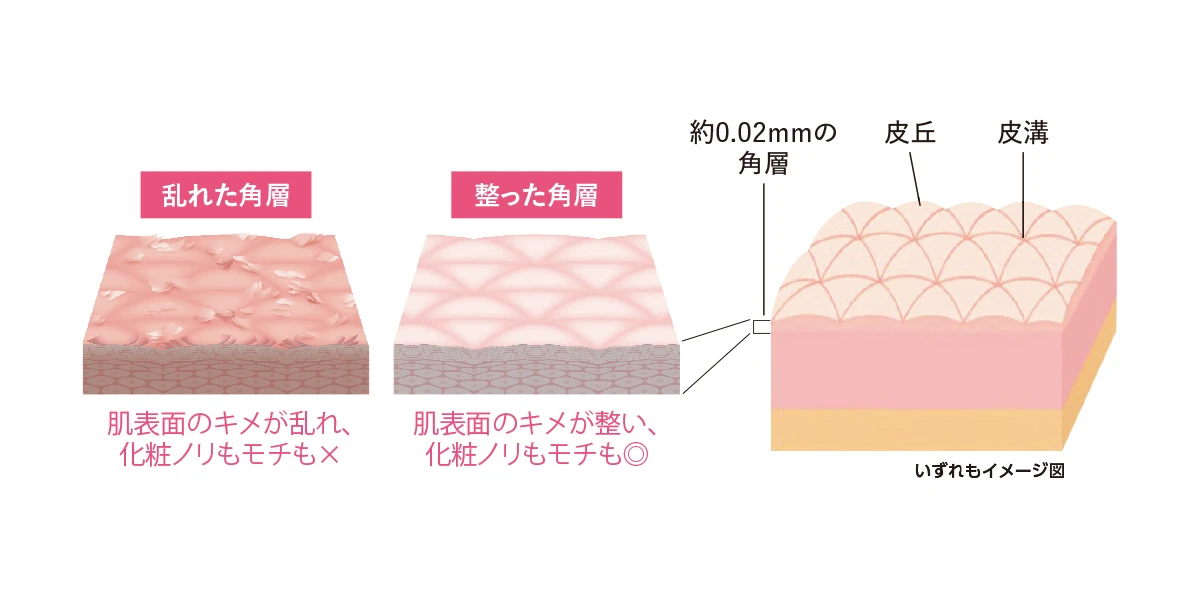 ソフィーナ プリマヴィスタ 生肌カバーバーム ファンデーション 角層への着目