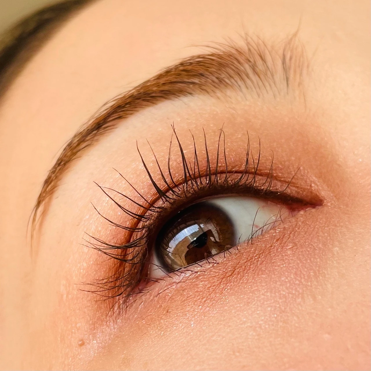 10月9日発売！大人気D-UP(ディーアップ)のマスカラの新色、マロングレージュをご紹介します。※スウォッチ有り_6_2