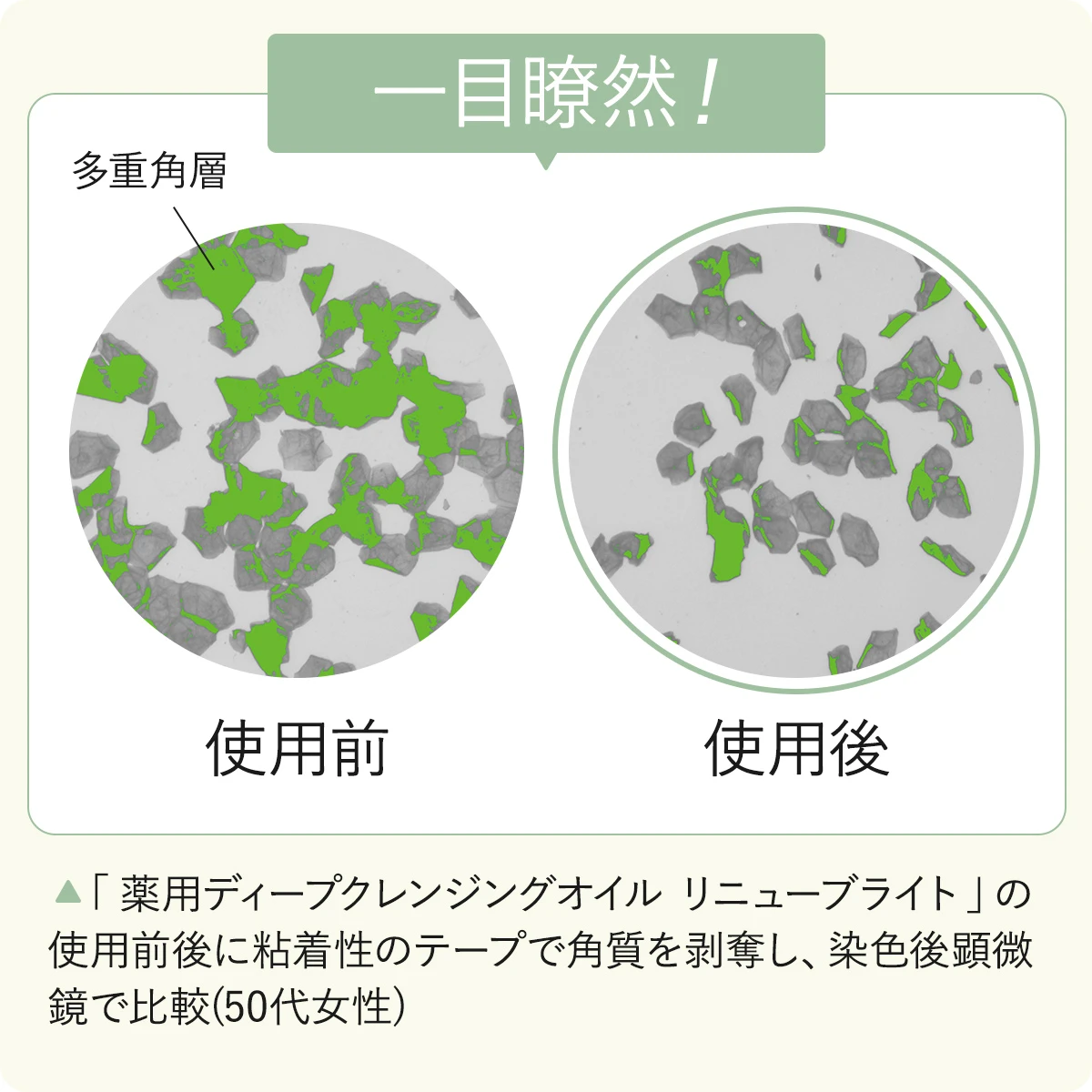 DHC 酸化ぐすみ　