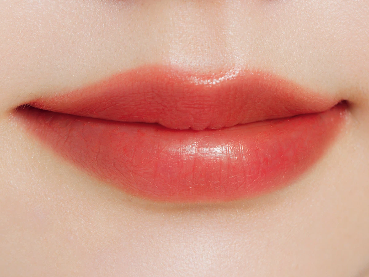 リップカラーシールド 08、影色リップメイカー 02　HOW TO MAKEUP