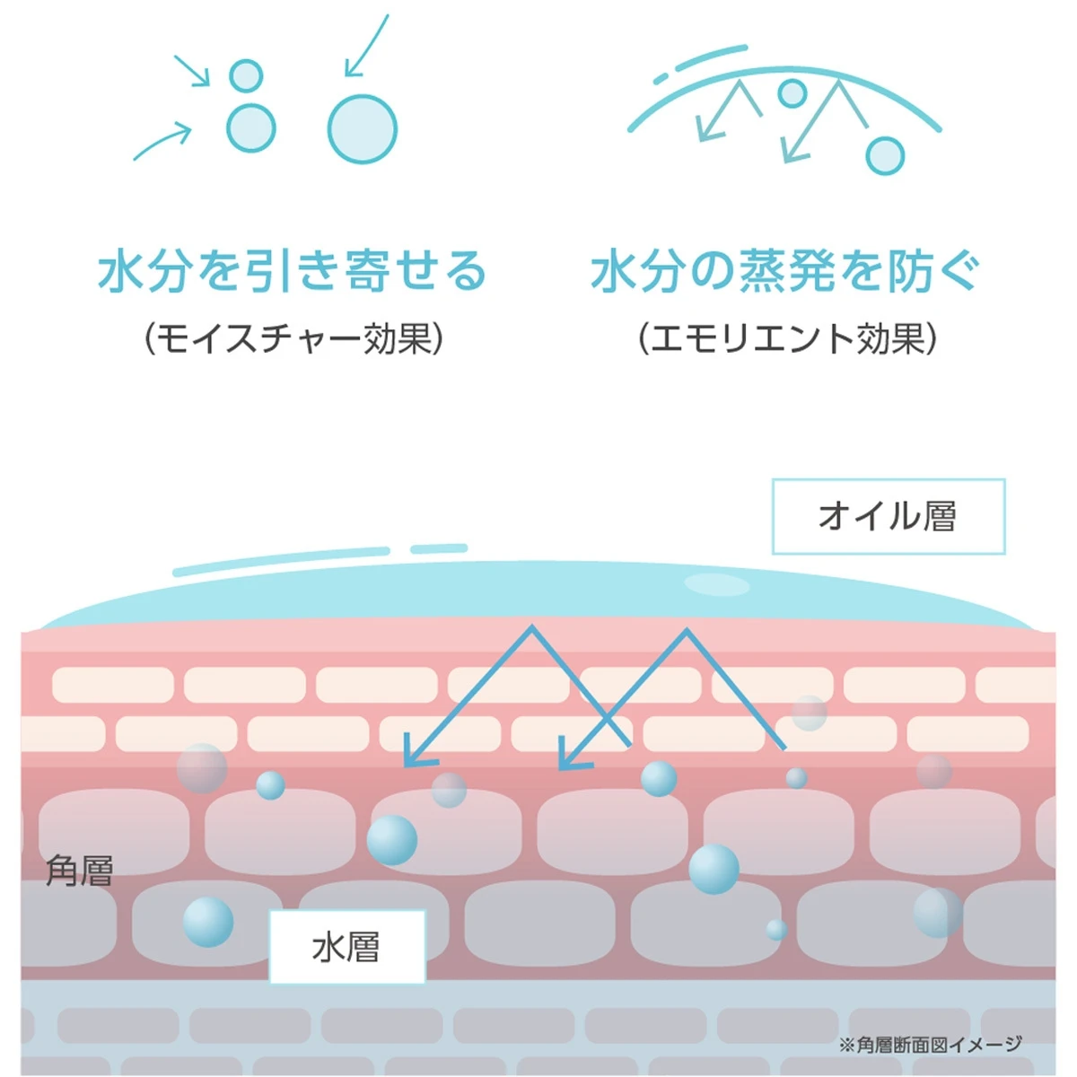 保湿も透明感(※1)も!二層式オイル美容液で、乾燥知らずのもっちりツヤ肌に_2