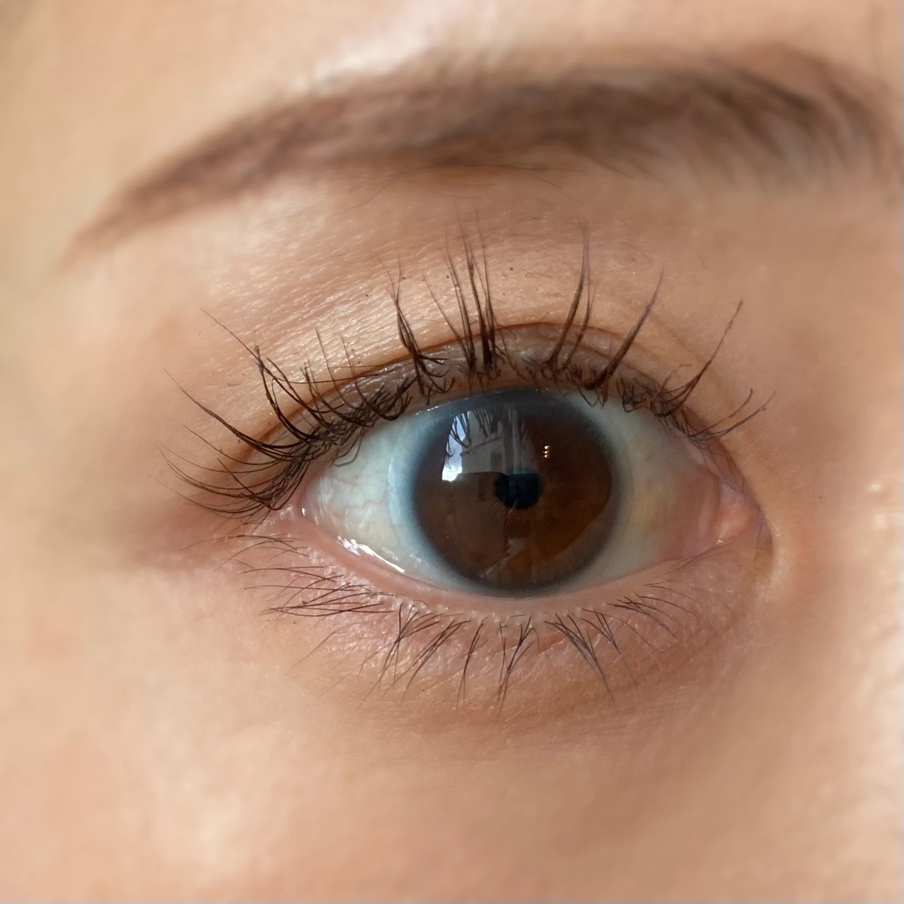 ＼保存版／【パクミニョン様出演】3650新作発表会の豪華イベントの様子と11月1日発売のマスカラ全部見せます‼︎_23_1