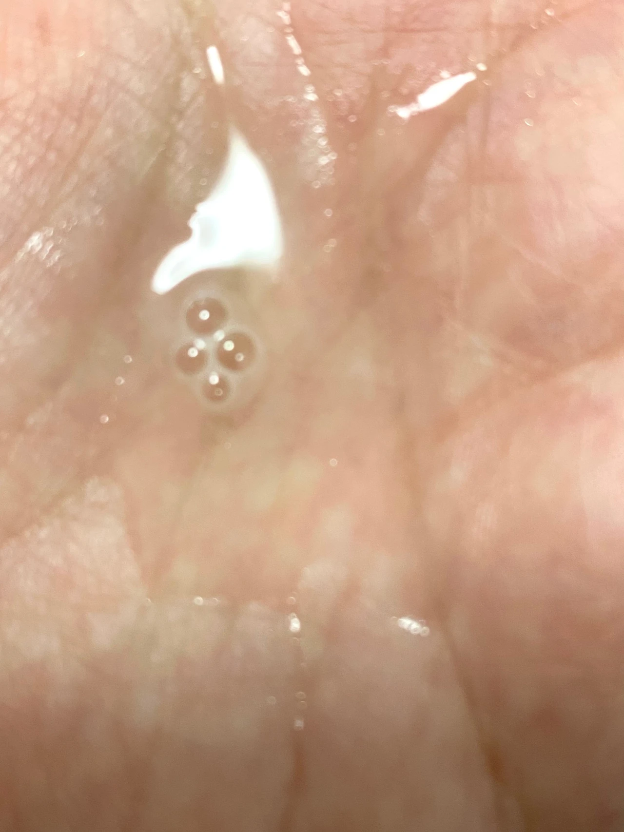 POLA ポーラ　乳液　化粧水　ローションイマース　ミルクフォーム