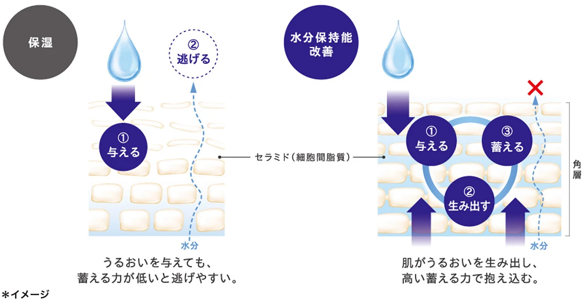 保湿と水分保持能改善の違い