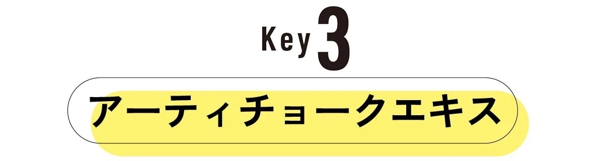 繰り返さない! 目に見えないニキビも、見せたくないニキビ跡もアクセーヌ イプノスにお任せ
_11