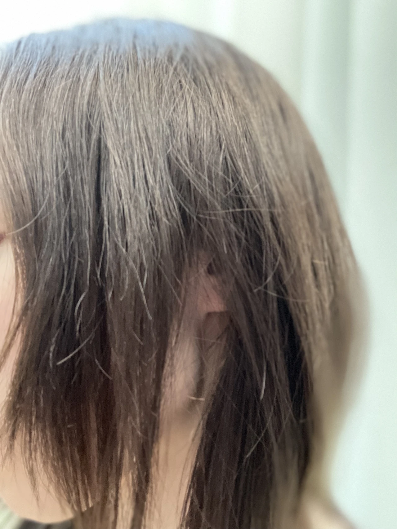 使用前の髪の毛状態 アップ