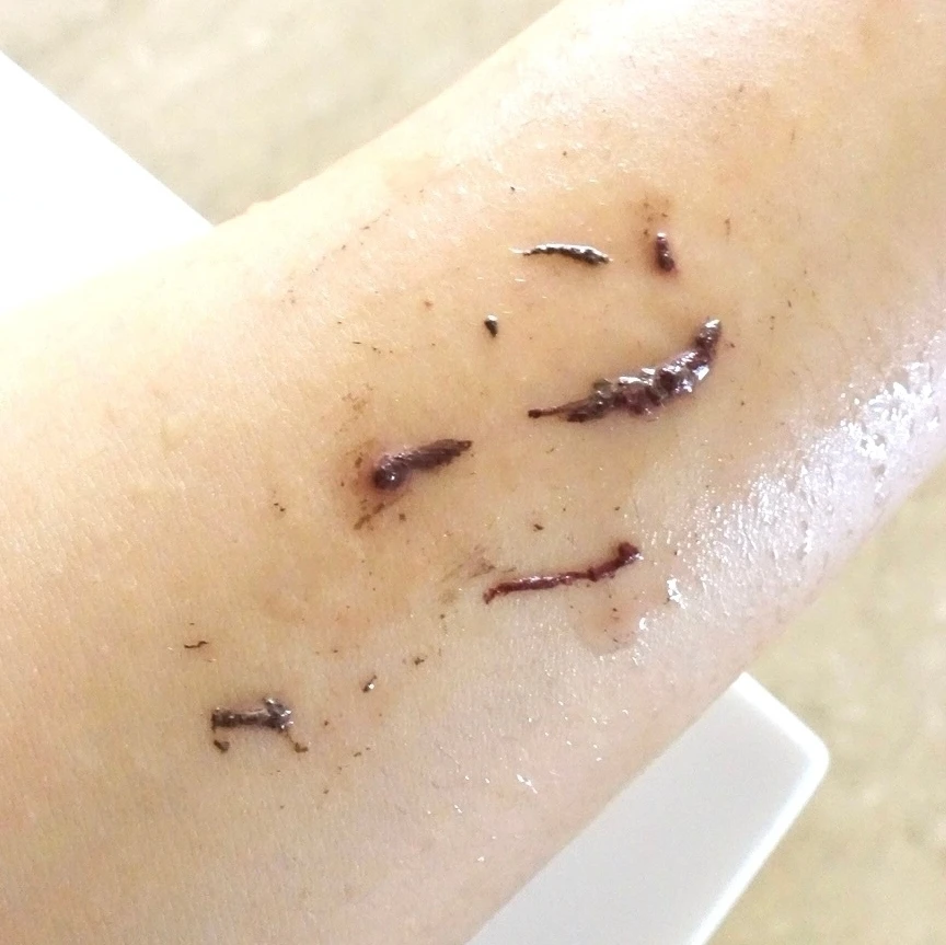 2022秋注目のラテカラー！【ディーアップ新色マロングレージュ】人気のパーフェクトエクステンションマスカラforカール、既存色との比較も▶2022秋新作プチプラコスメ_2_2