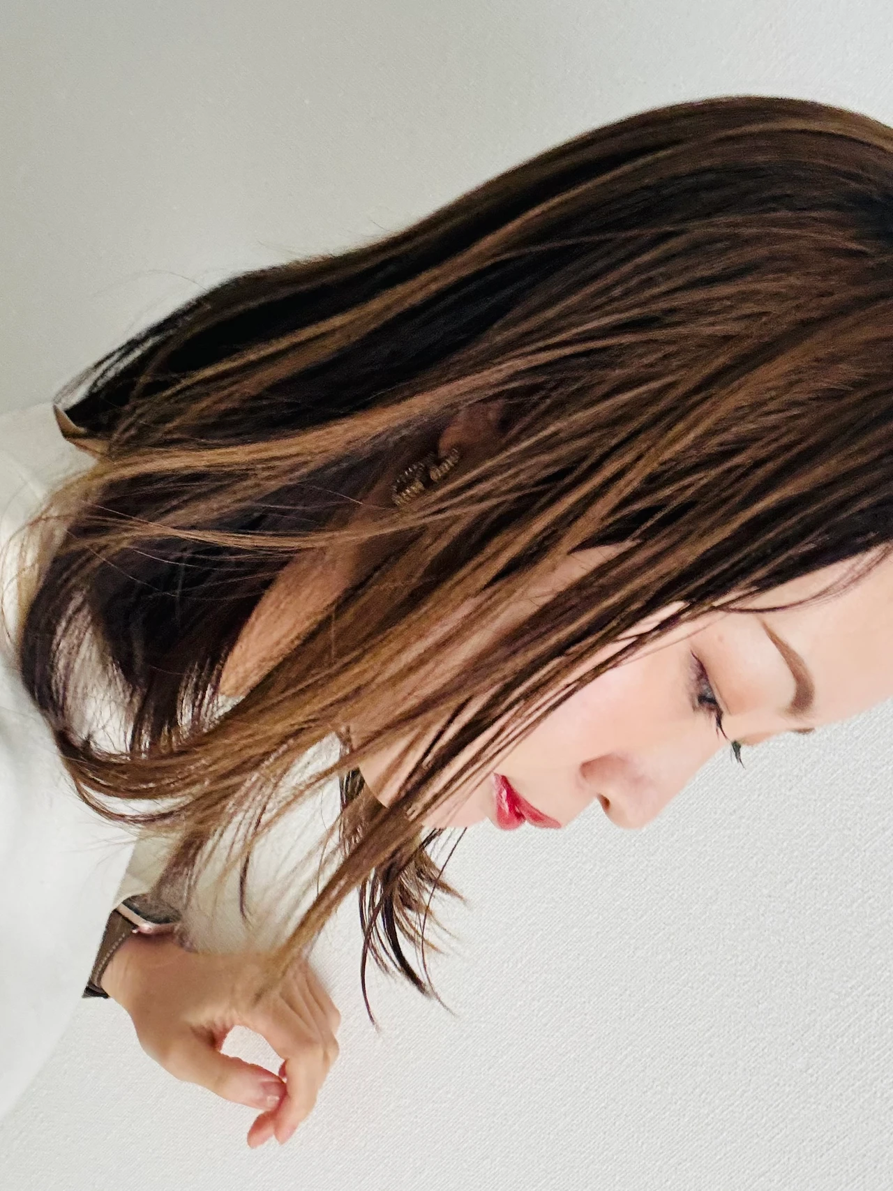 プルントのヴェーリングシリーズを使用した仕上がりイメージ