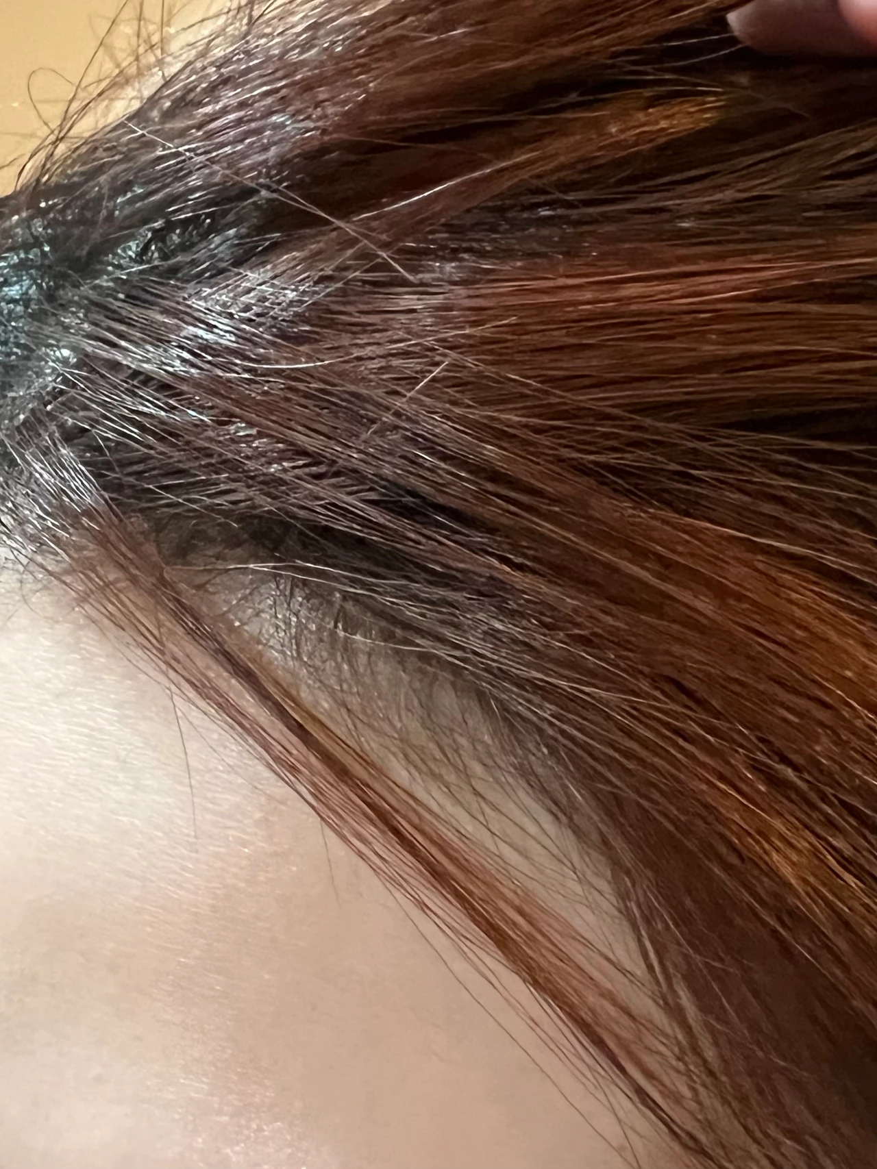 サボン　ヘッドスクラブ　口コミ